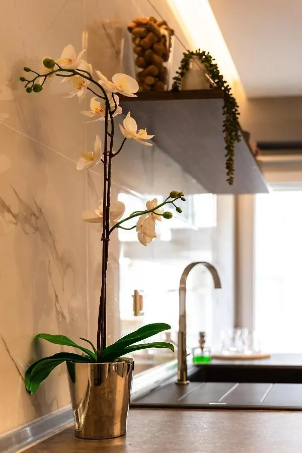 Cozy Modern Apartment Inside The City Center Thessaloniki 0*,  Greece